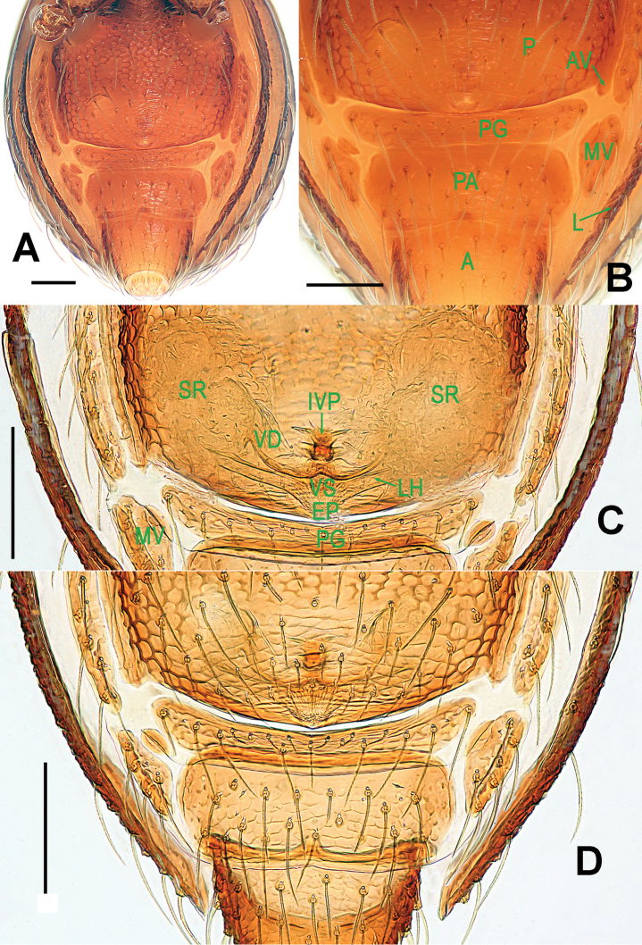 Figure 26.