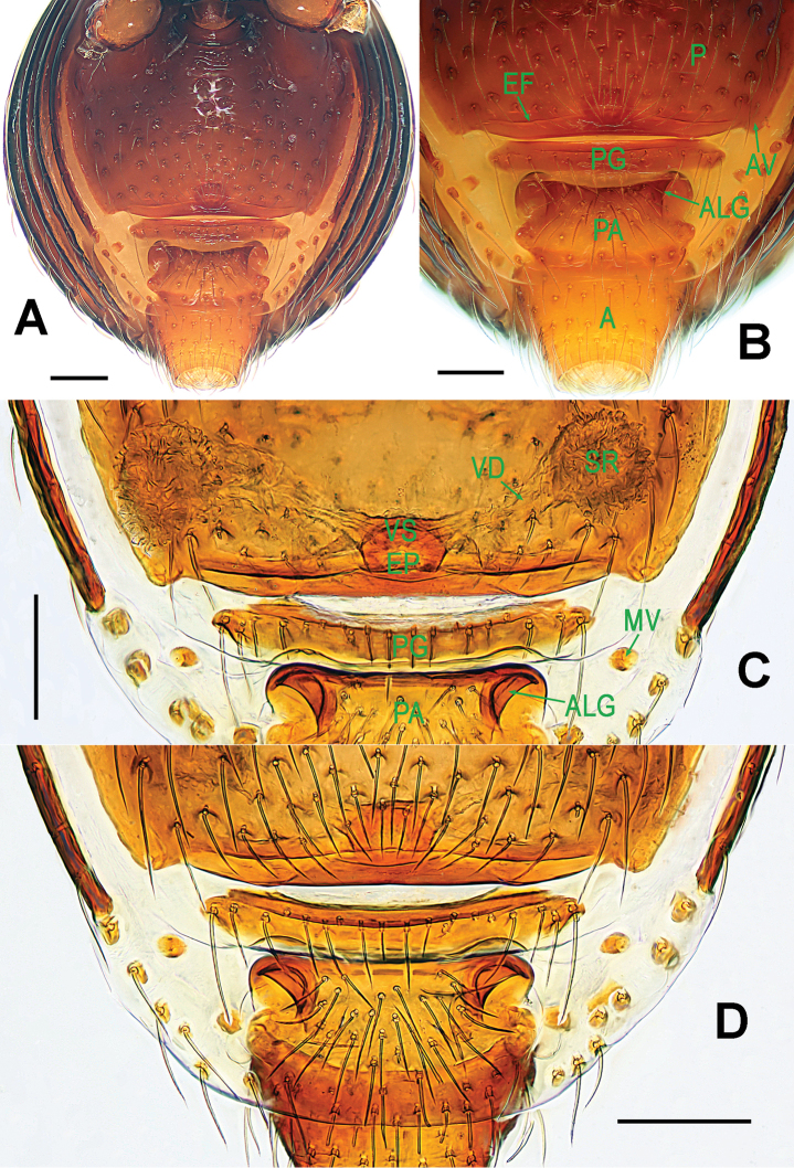 Figure 15.