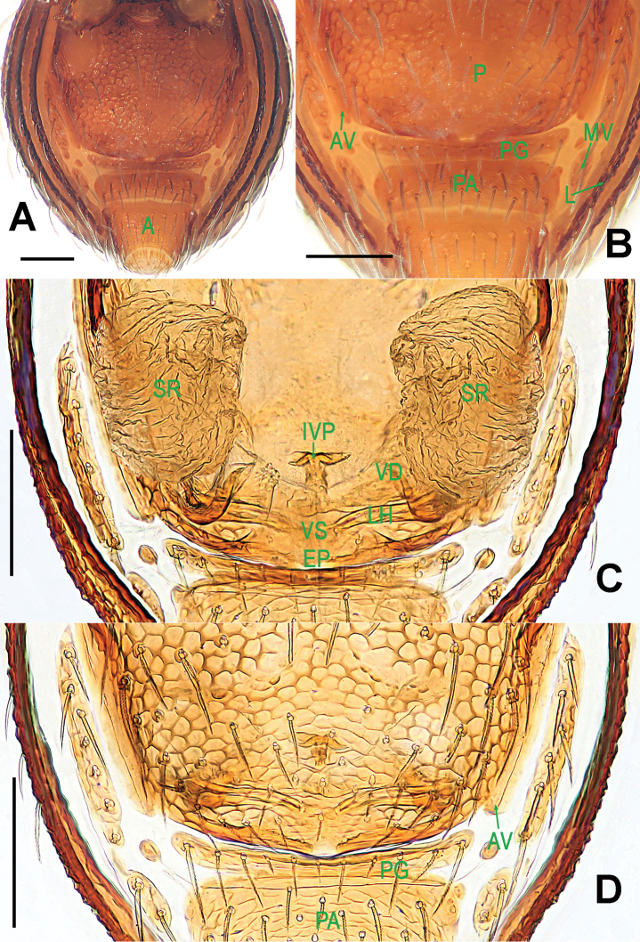 Figure 20.