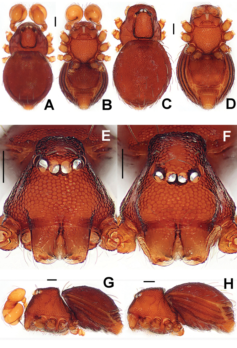 Figure 16.