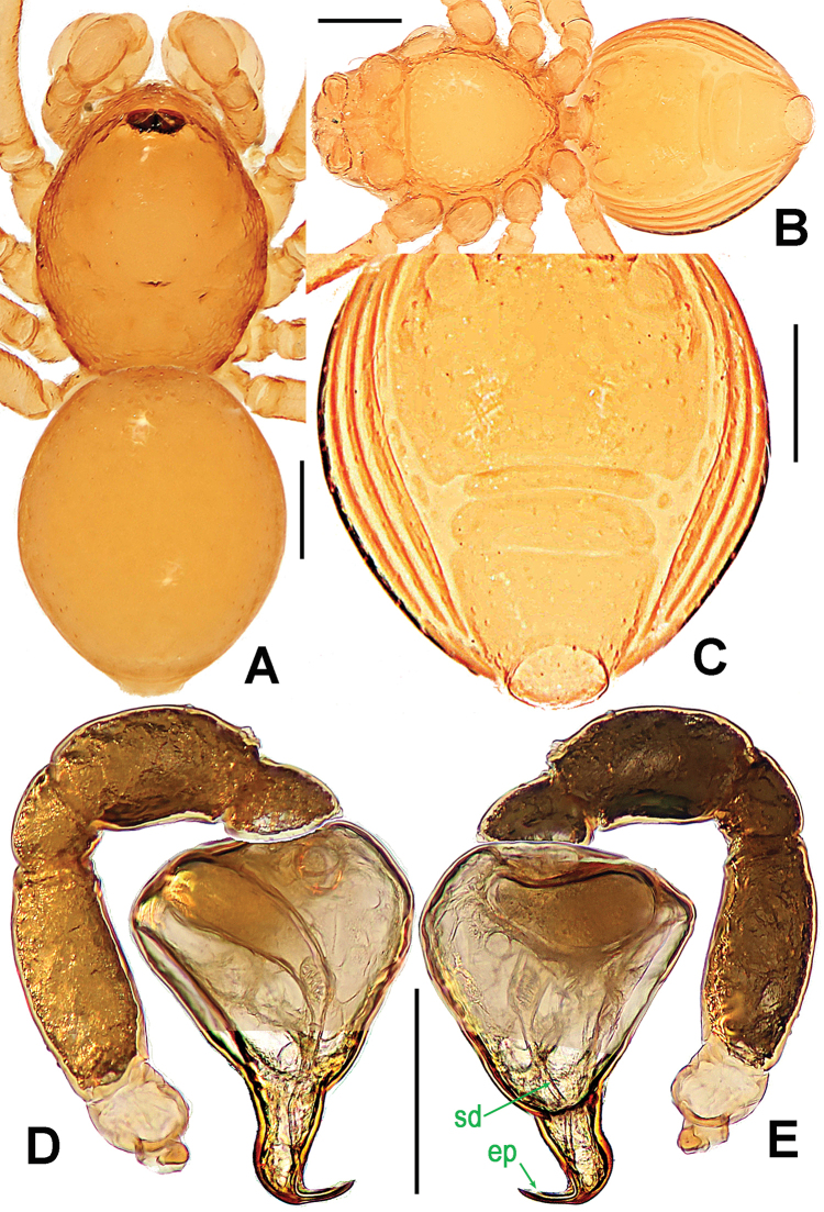 Figure 28.