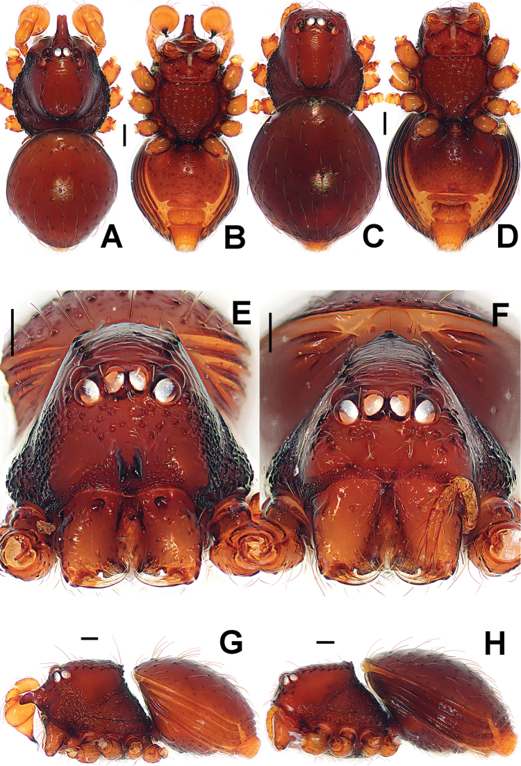 Figure 13.