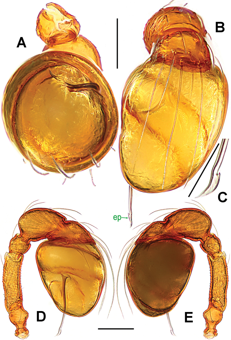 Figure 25.