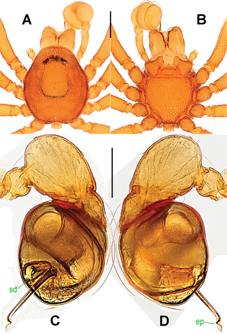 Figure 21.