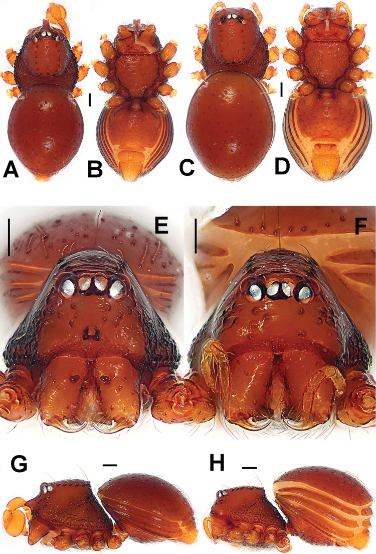 Figure 10.