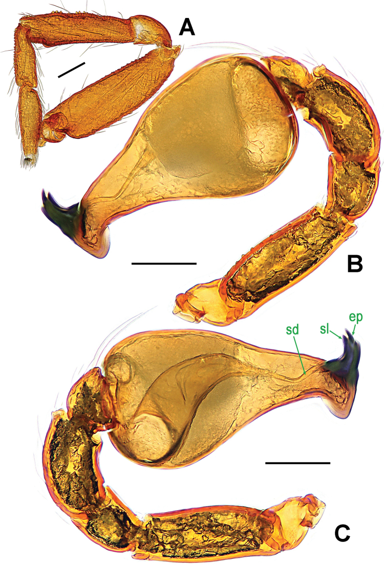 Figure 8.