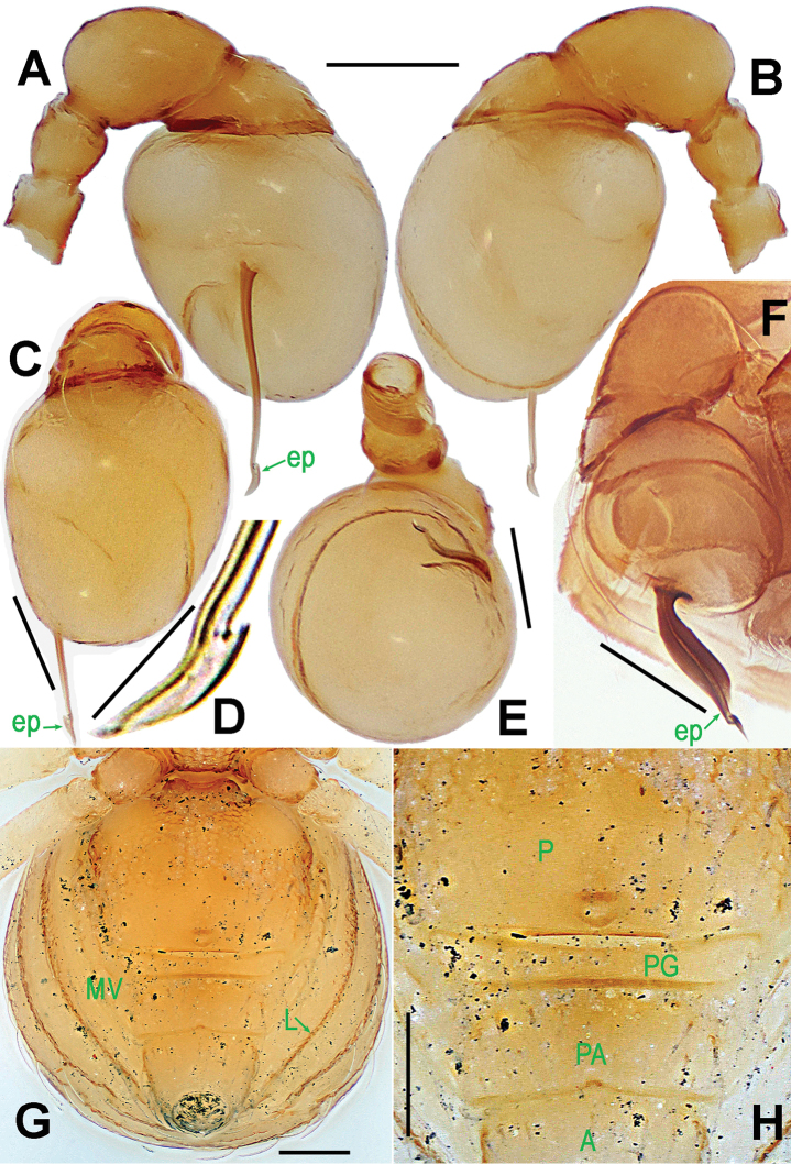 Figure 23.