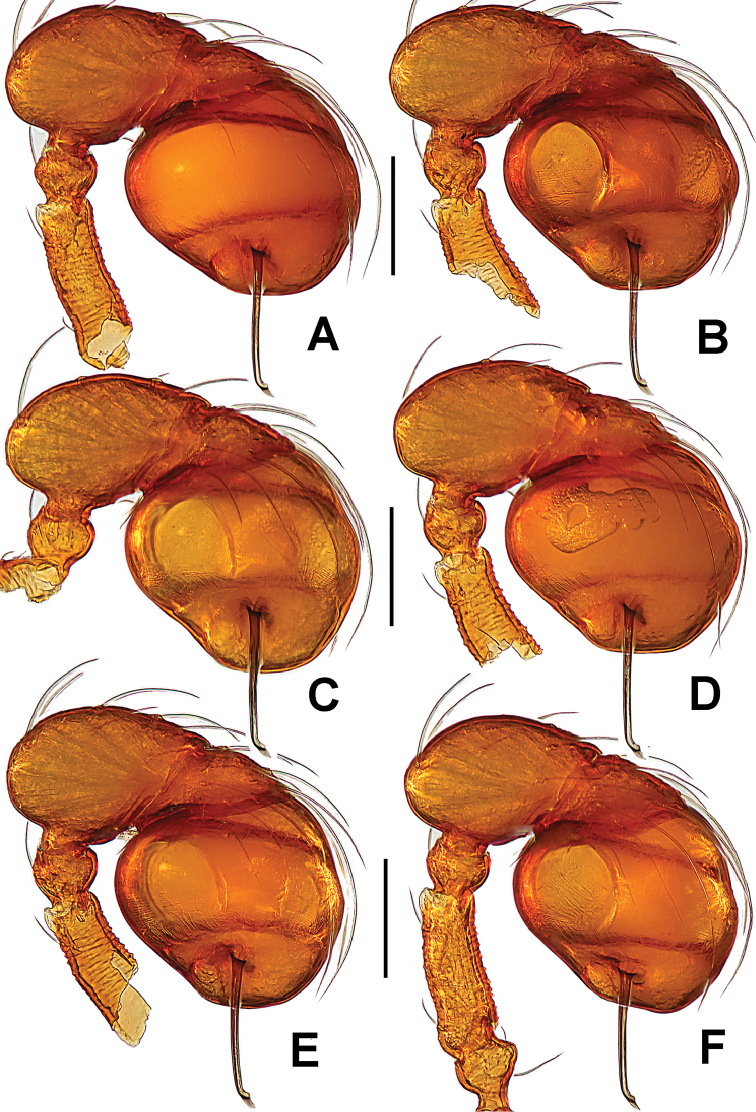 Figure 18.