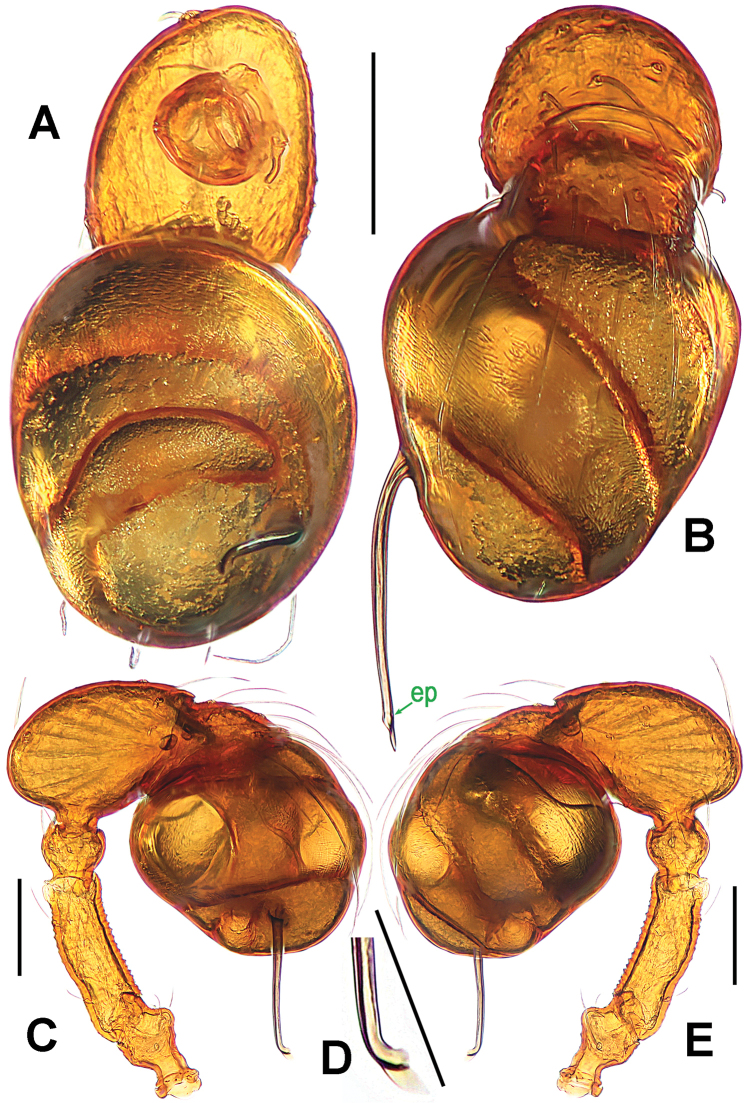 Figure 17.