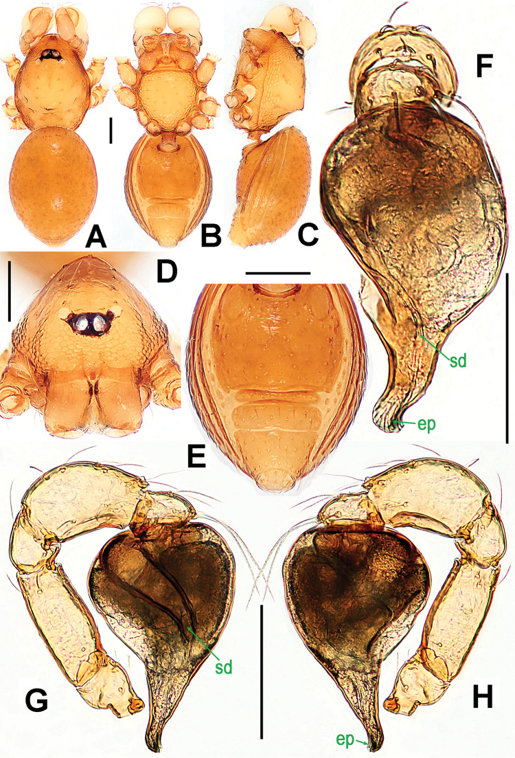 Figure 27.