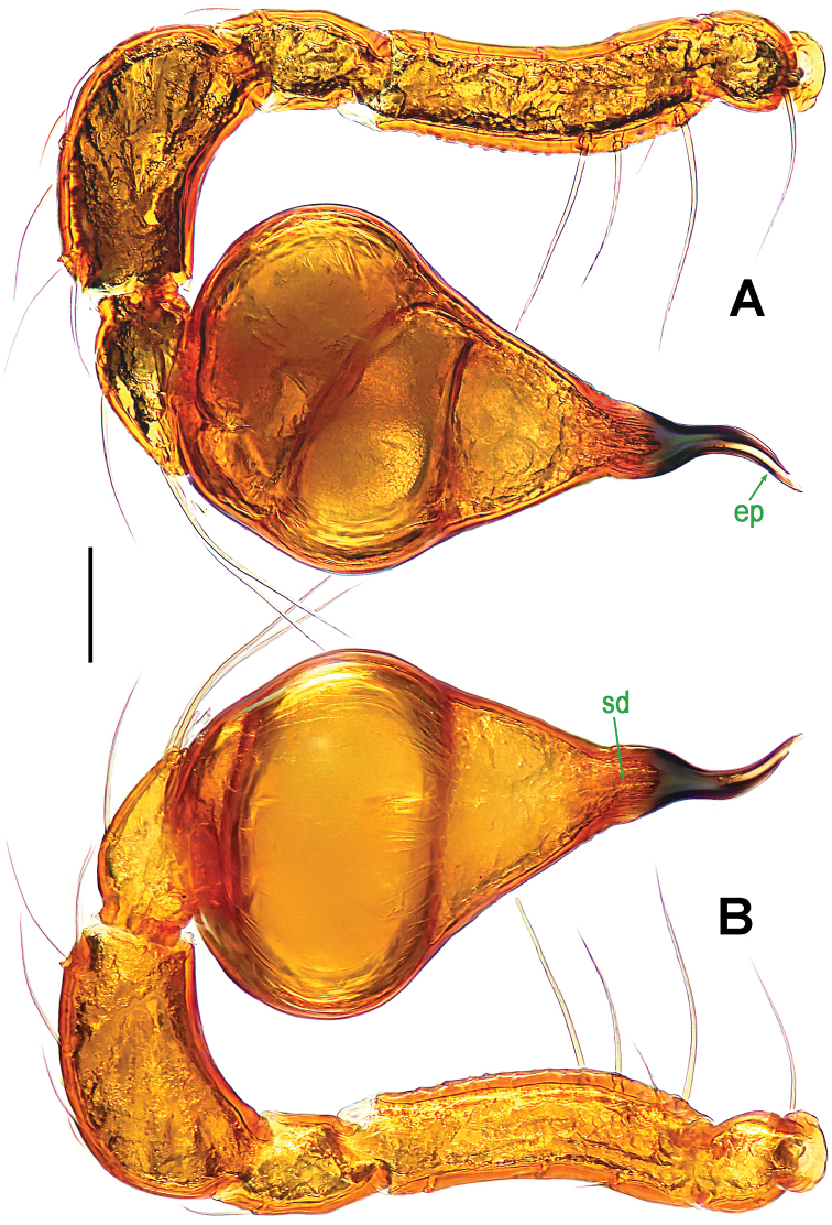 Figure 14.