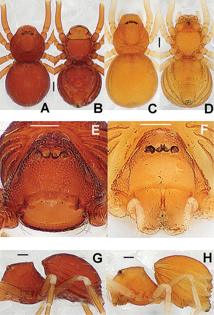 Figure 22.