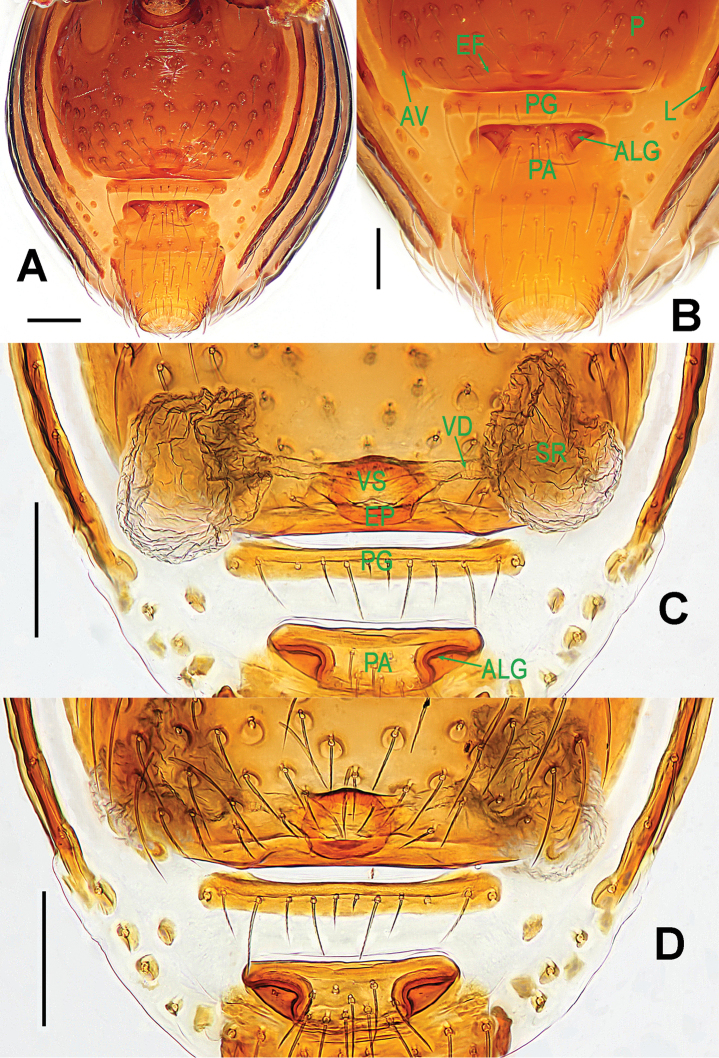 Figure 12.