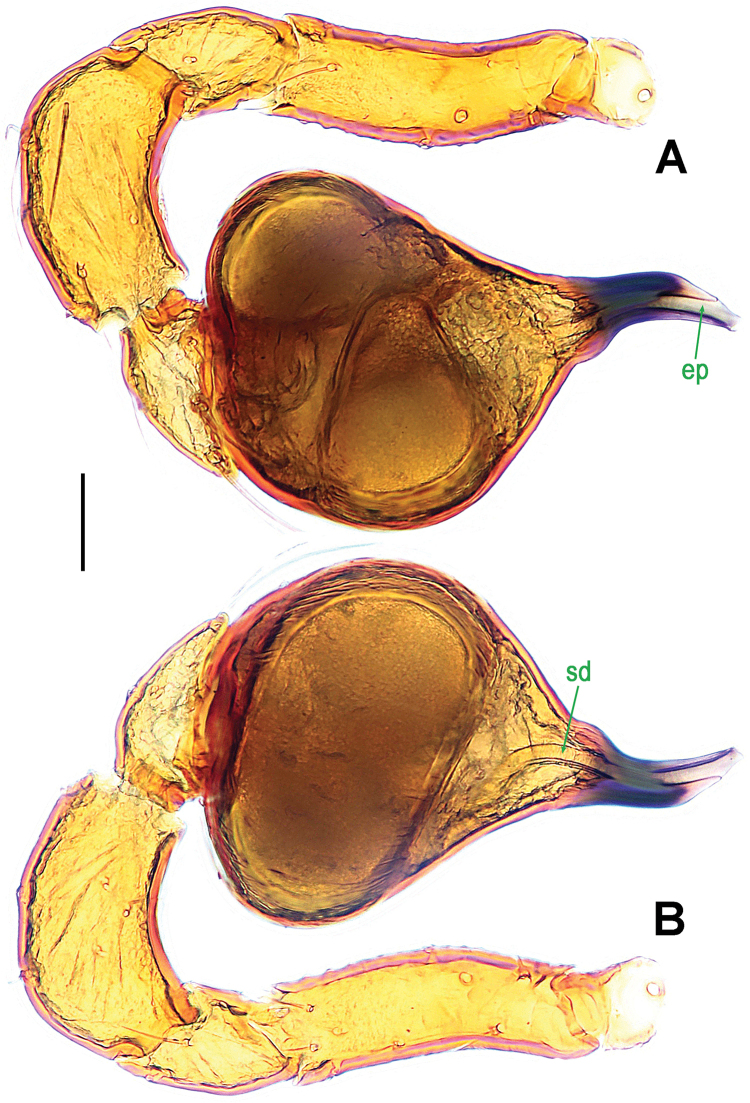 Figure 11.