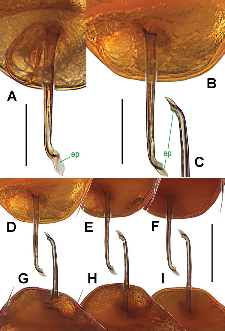 Figure 19.