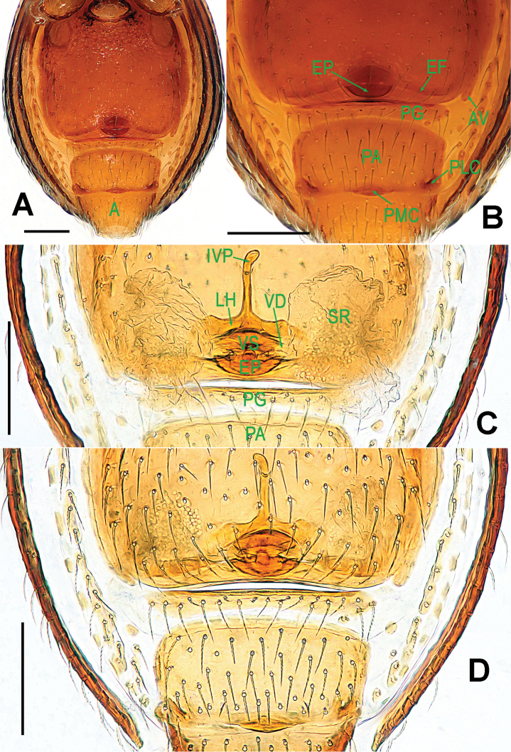 Figure 9.