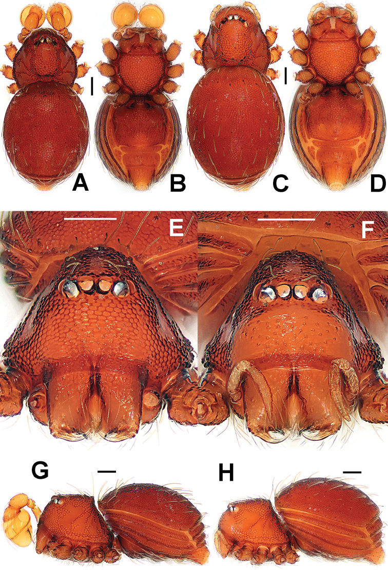 Figure 24.