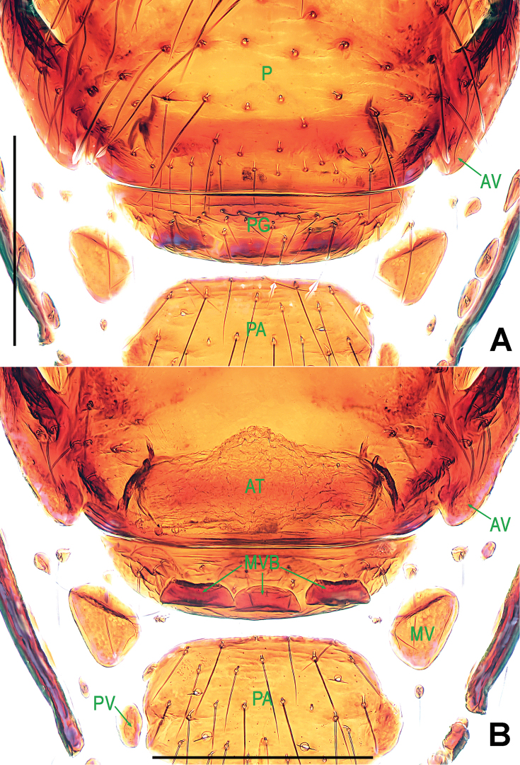 Figure 6.