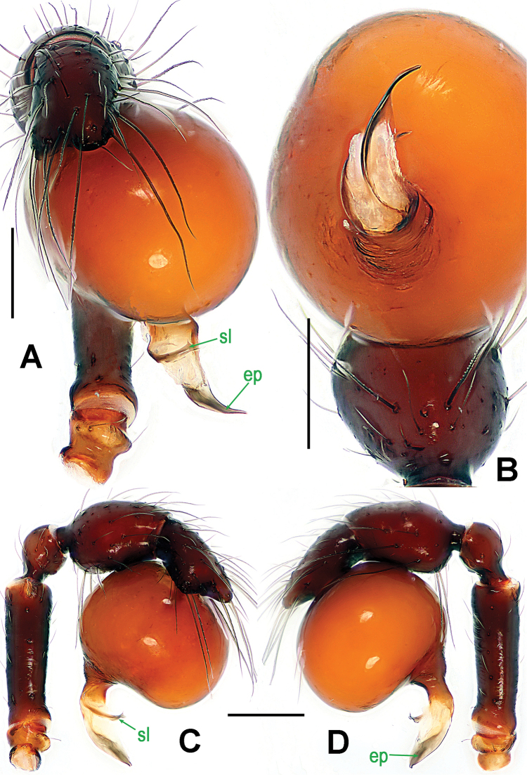 Figure 2.