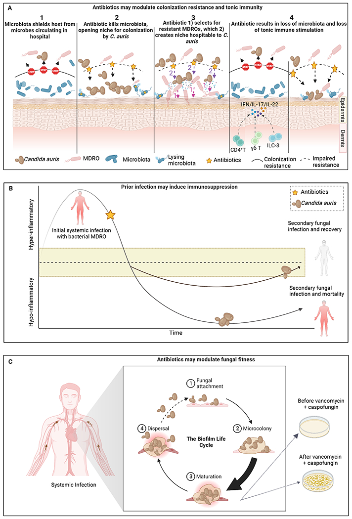 Figure 2: