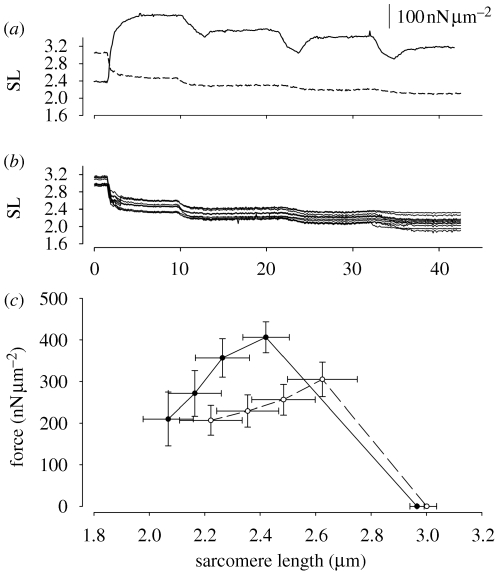 Figure 4.