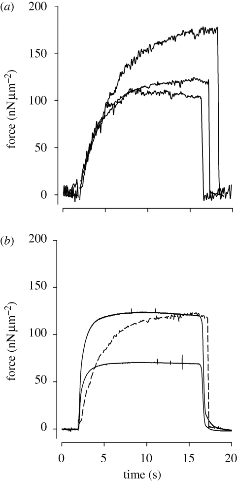 Figure 2.