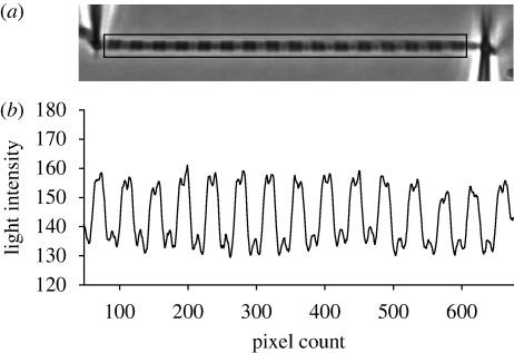 Figure 1.