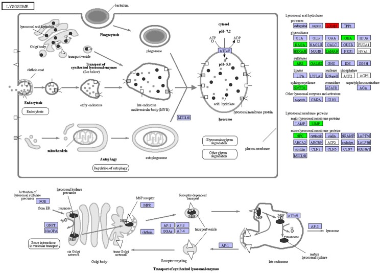 Fig 3