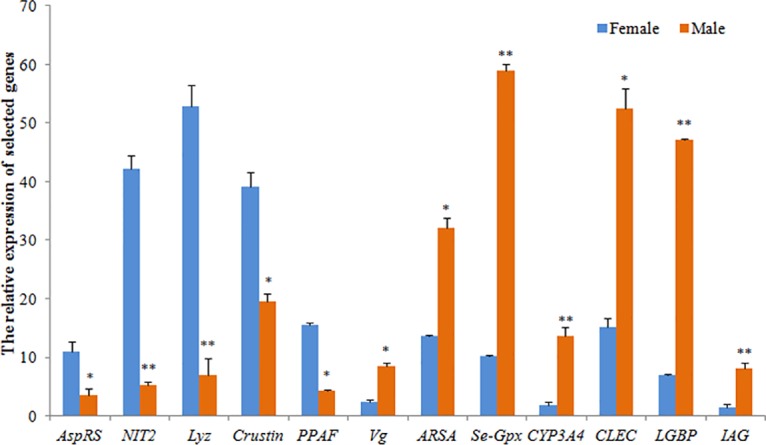 Fig 4