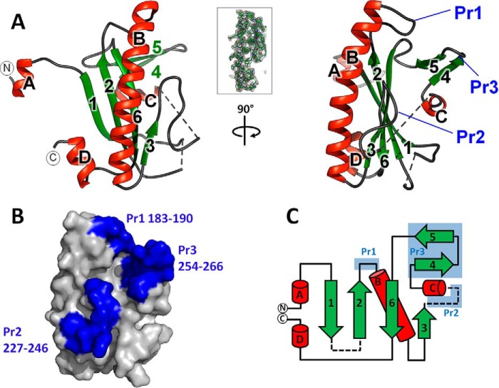 FIGURE 2.