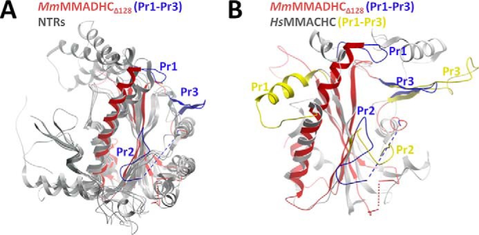 FIGURE 3.