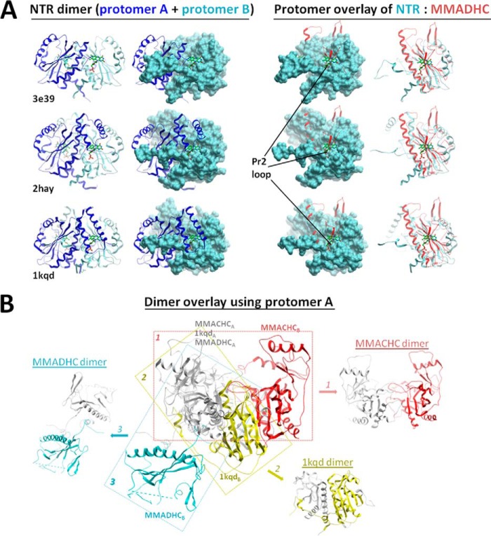 FIGURE 4.