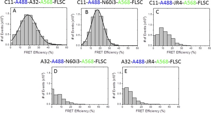 FIG 1