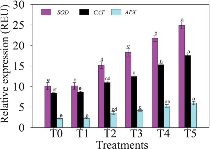 FIGURE 4