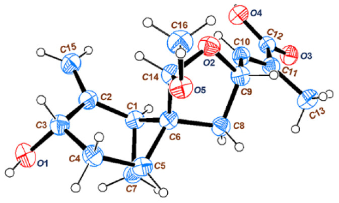 Figure 5