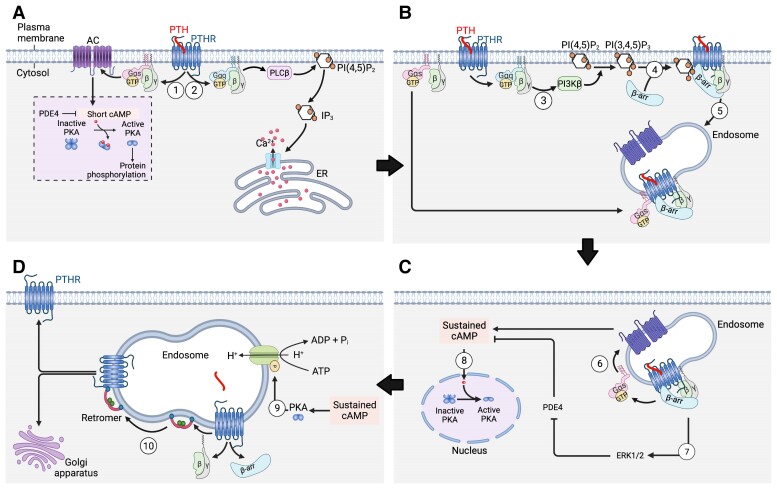 Figure 5.