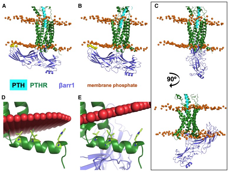 Figure 11.