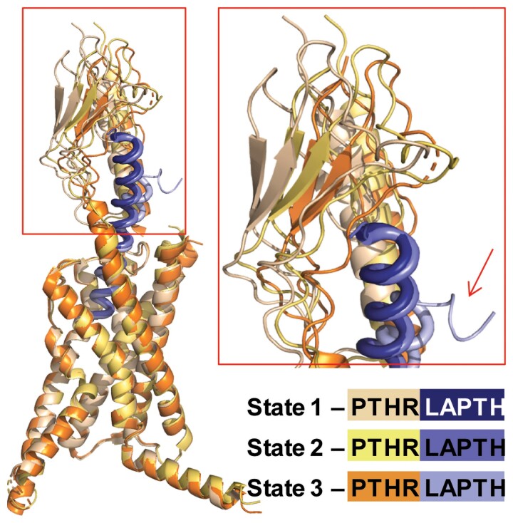 Figure 6.