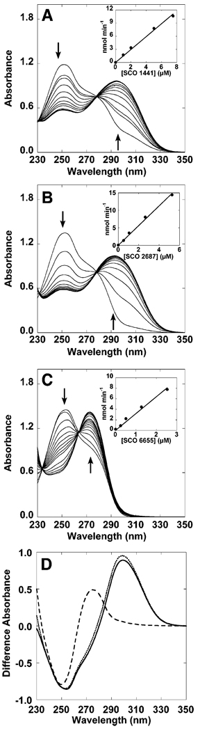 FIGURE 3