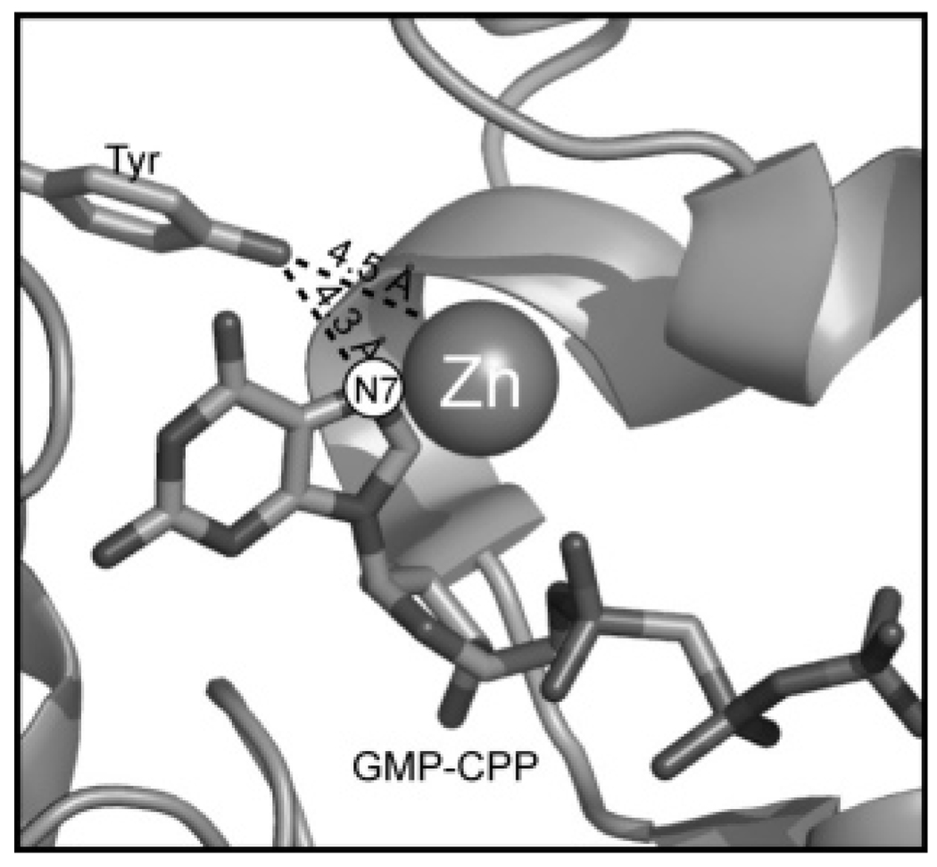 FIGURE 6