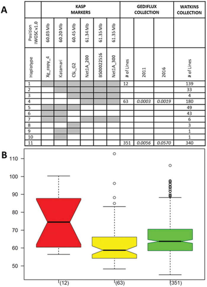 Fig. 6.