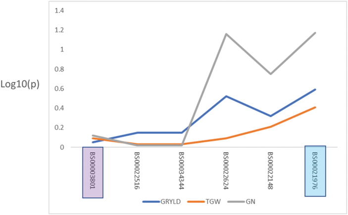 Fig. 7.