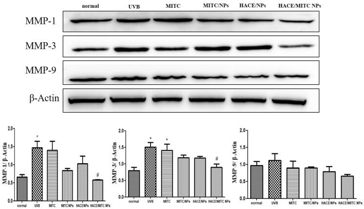 Figure 10.