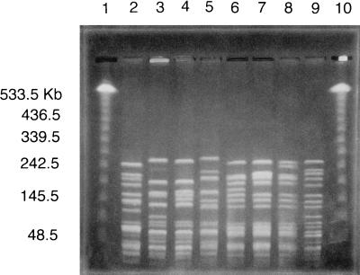 FIG. 1