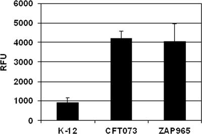 FIG. 5.