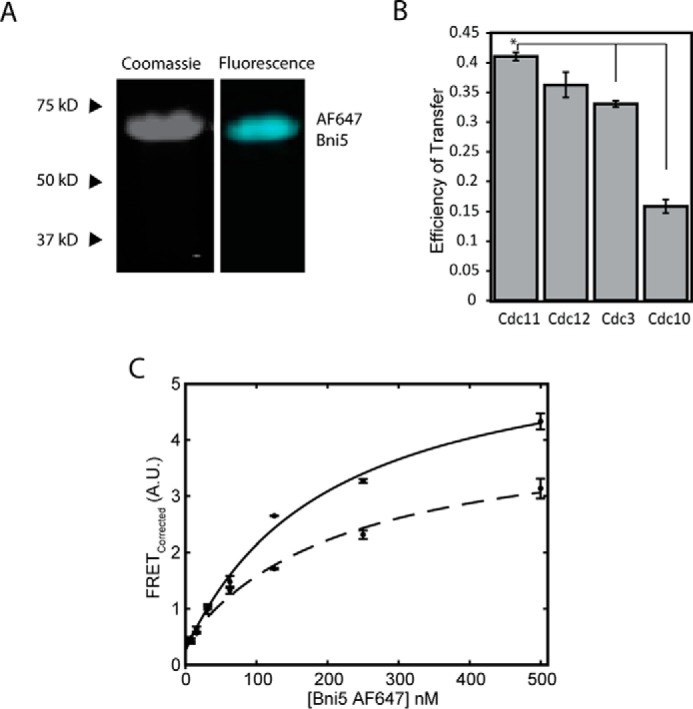 FIGURE 7.