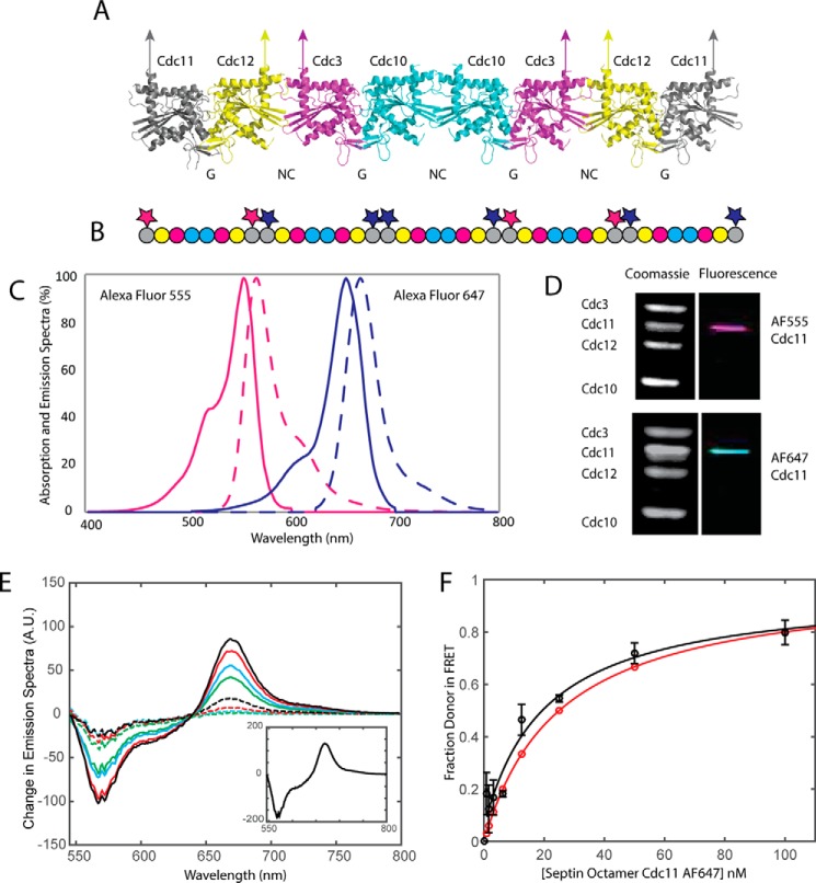 FIGURE 1.