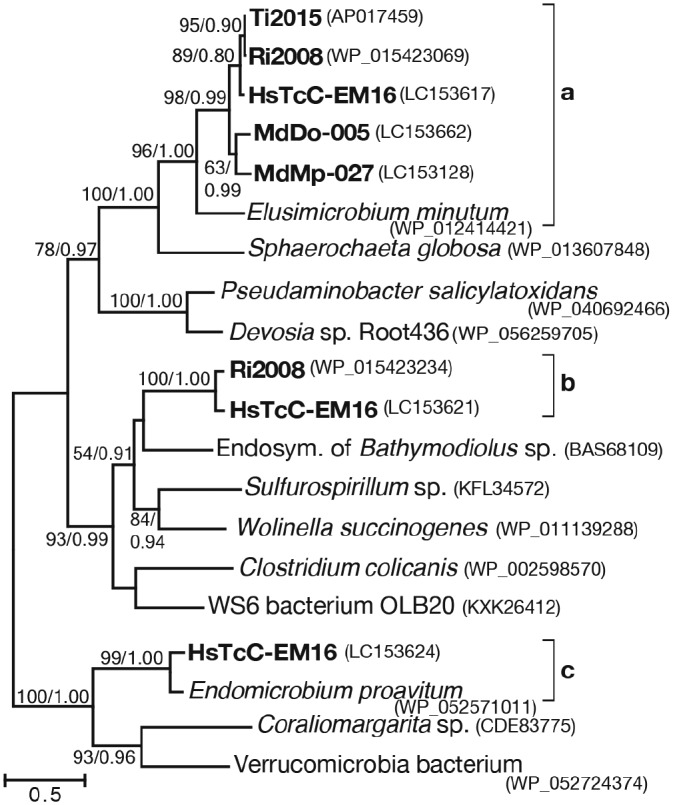 Fig. 3.—