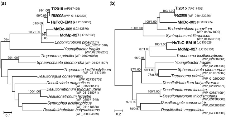 Fig. 4.—