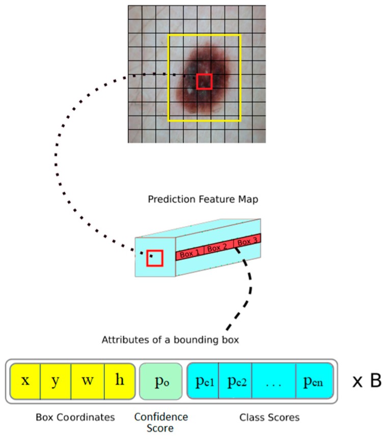 Figure 8